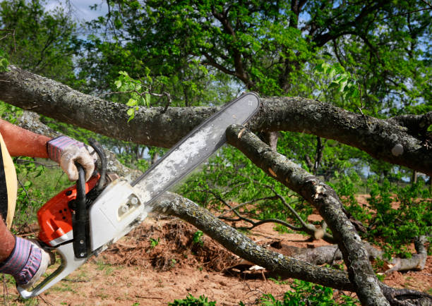 Best Seasonal Cleanup (Spring/Fall)  in Pacific Grove, CA